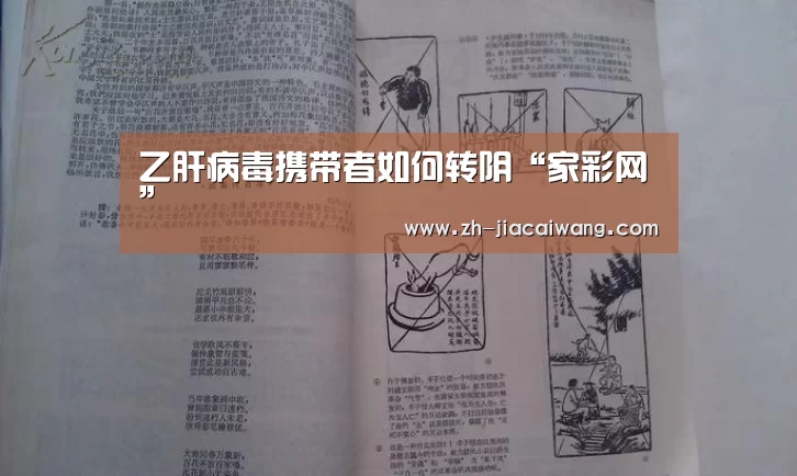 乙肝病毒携带者如何转阴“家彩网”(图3) 家彩网