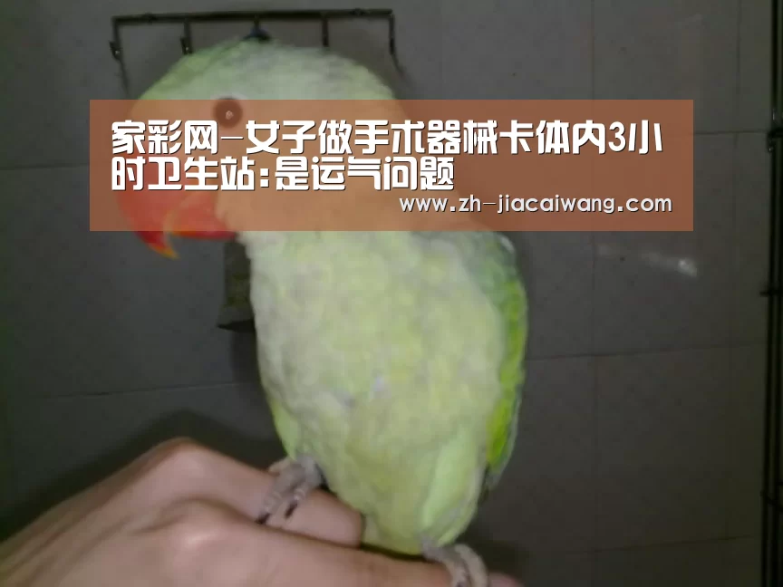 家彩网-女子做手术器械卡体内3小时卫生站:是运气问题(图3) 家彩网